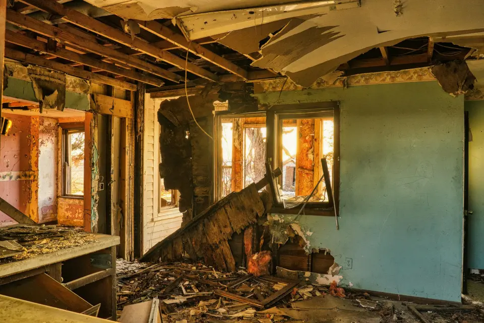 Leading Mold Removal Company in Houston, Texas — Houston, TX